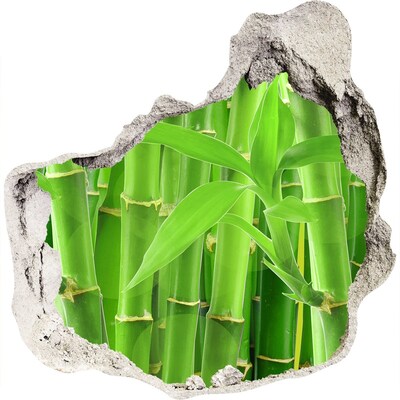 Hole wall sticker Green bamboo forest