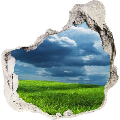3D wall hole Green meadow under the clouds