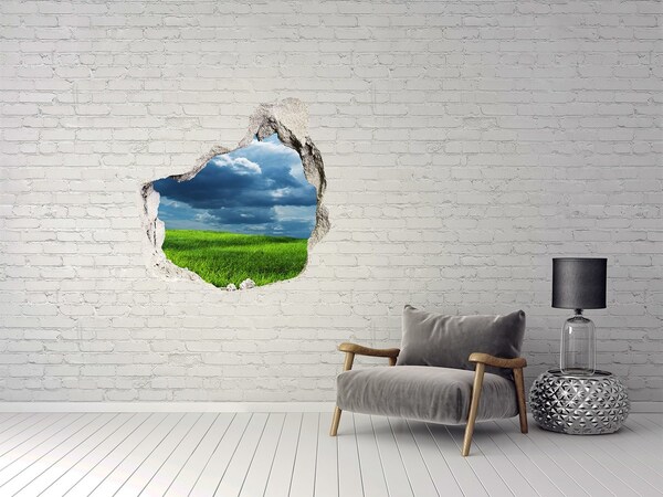 3D wall hole Green meadow under the clouds