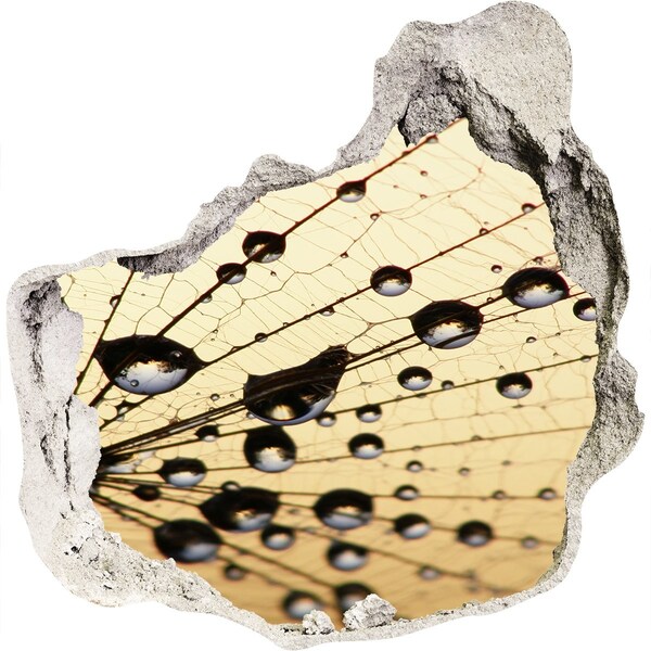 Hole wall sticker Water drops on a butterfly wing