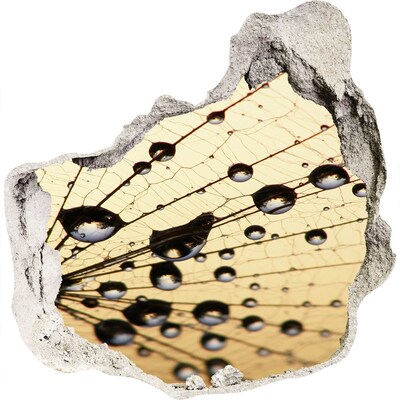 Hole wall sticker Water drops on a butterfly wing