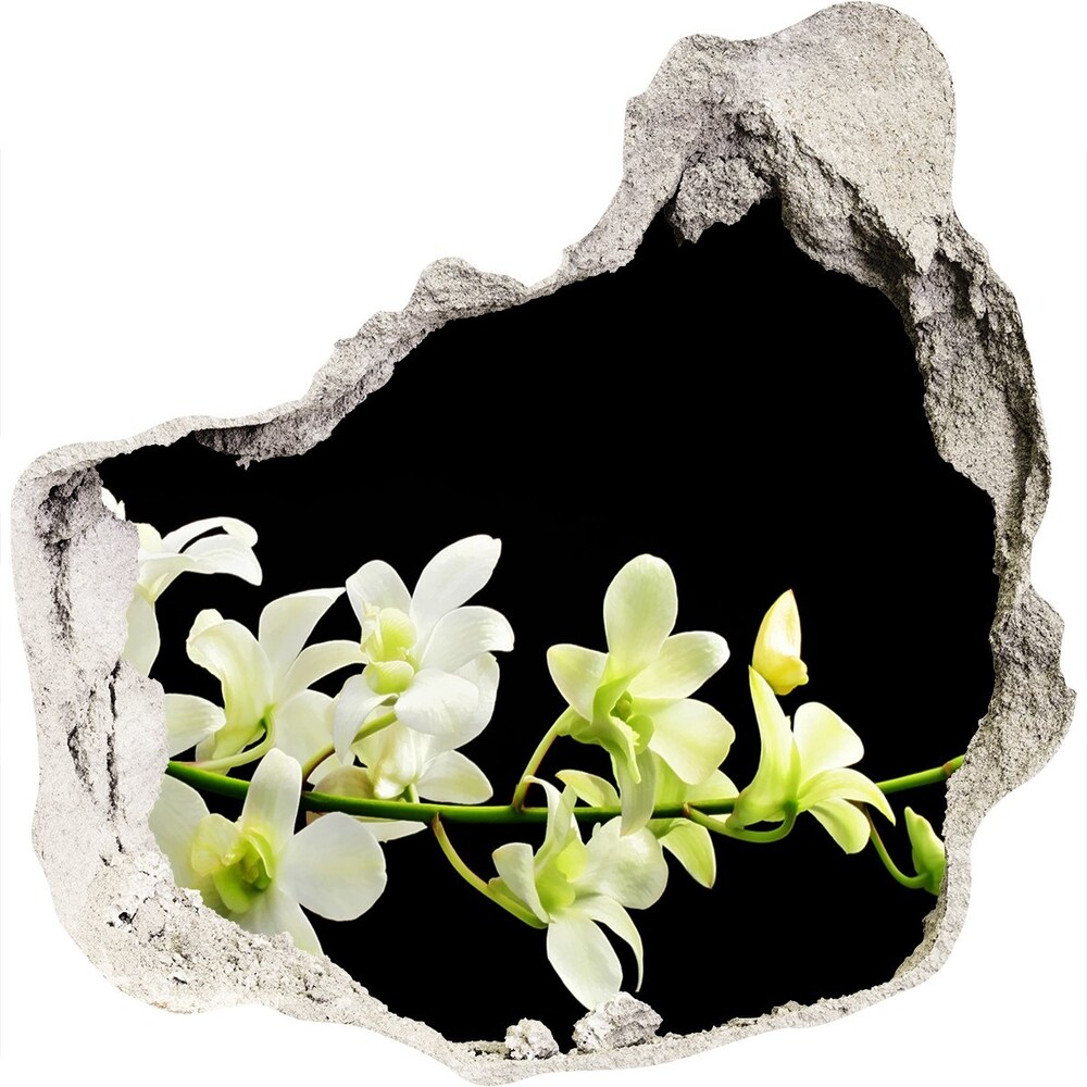 3D wall hole wallpaper Orchid