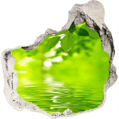 3D wall hole wallpaper Green oasis with water