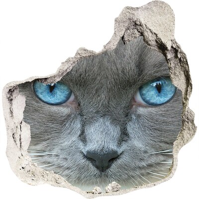 Hole wall sticker Cat blue eyes