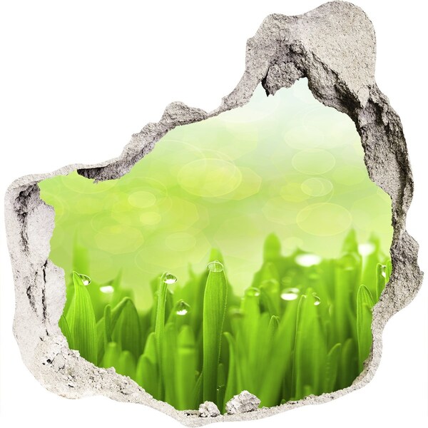 Hole wall sticker Green meadow with drops of water