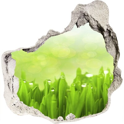 Hole wall sticker Green meadow with drops of water