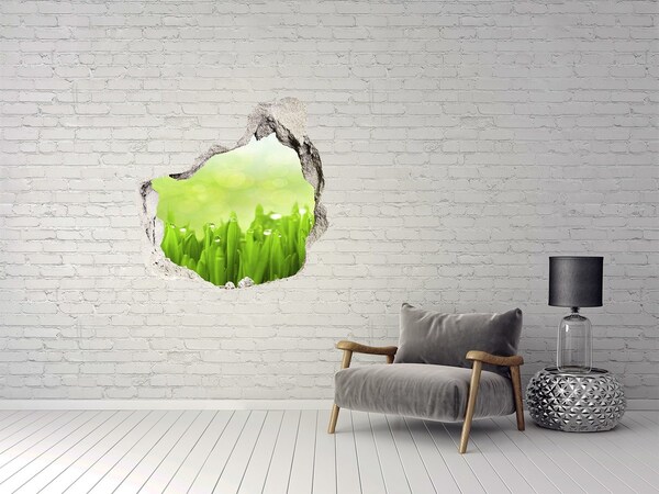 Hole wall sticker Green meadow with drops of water