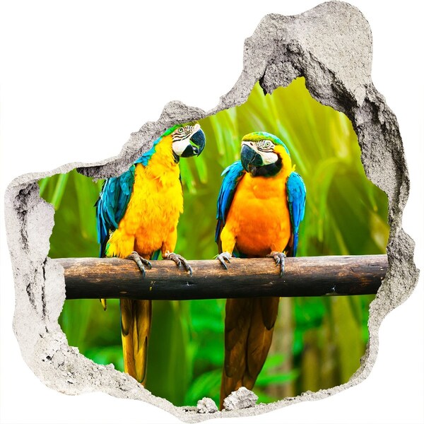 Hole wall sticker Parrots on a branch