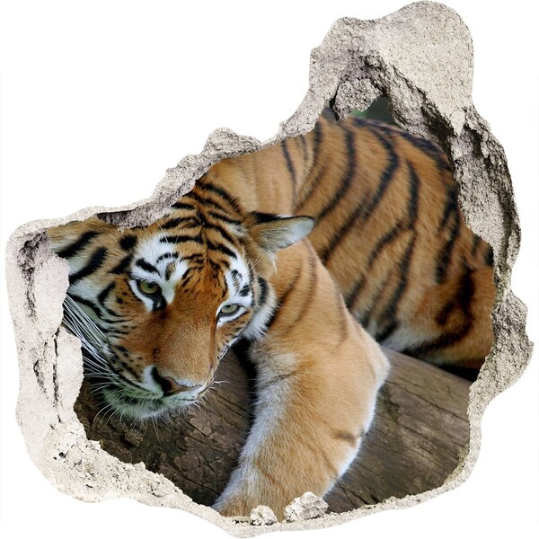 Hole wall sticker Tiger on a tree