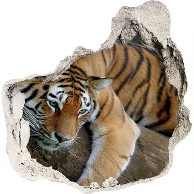 Hole wall sticker Tiger in its natural habitat