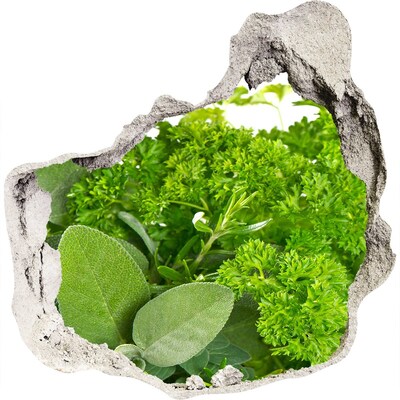 3D wall hole Herbs