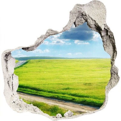 Hole wall sticker Green meadow with sky