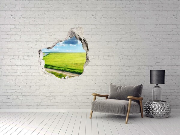 Hole wall sticker Green meadow with sky
