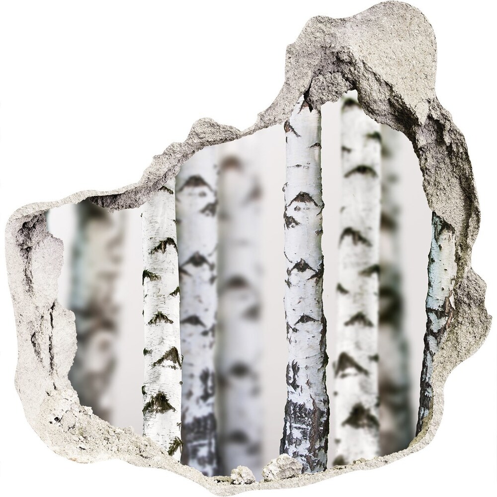 Hole wall sticker Birch trunks