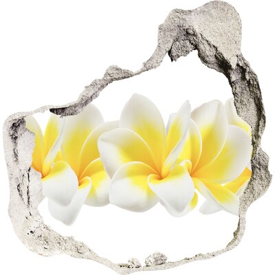 Hole in the wall sticker Plumeria