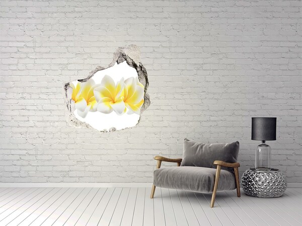 Hole in the wall sticker Plumeria