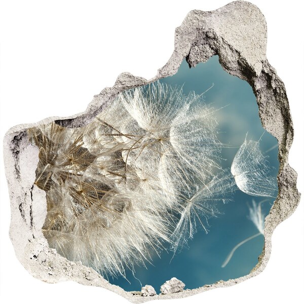 Hole in the wall sticker Dandelions against the sky