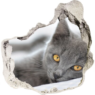 Hole in the wall decal Gray cat in a hole in the wall