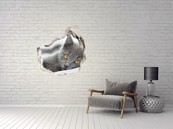 Hole in the wall decal Gray cat