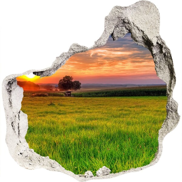 Hole in the wall decal Sunset over the meadow