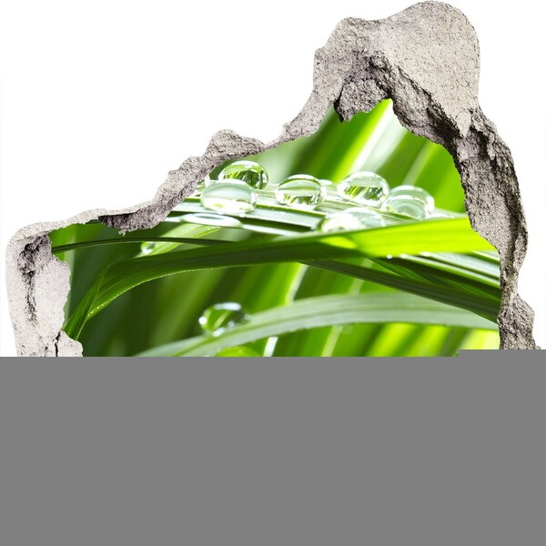 Hole in the wall decal Green meadow with drops of water