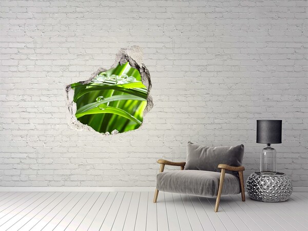 Hole in the wall decal Green meadow with drops of water