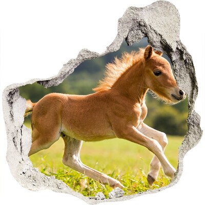 Hole in the wall decal A foal in the meadow