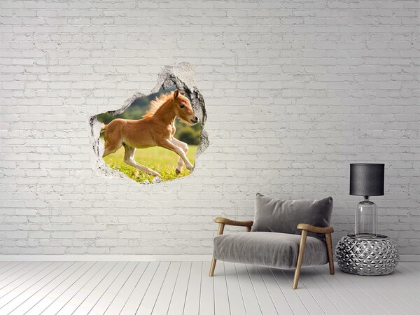 Hole in the wall decal Foal at a gallop