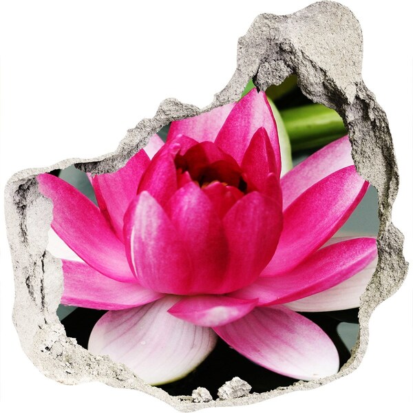 Hole in the wall decal Lotus flower in a hole in the wall