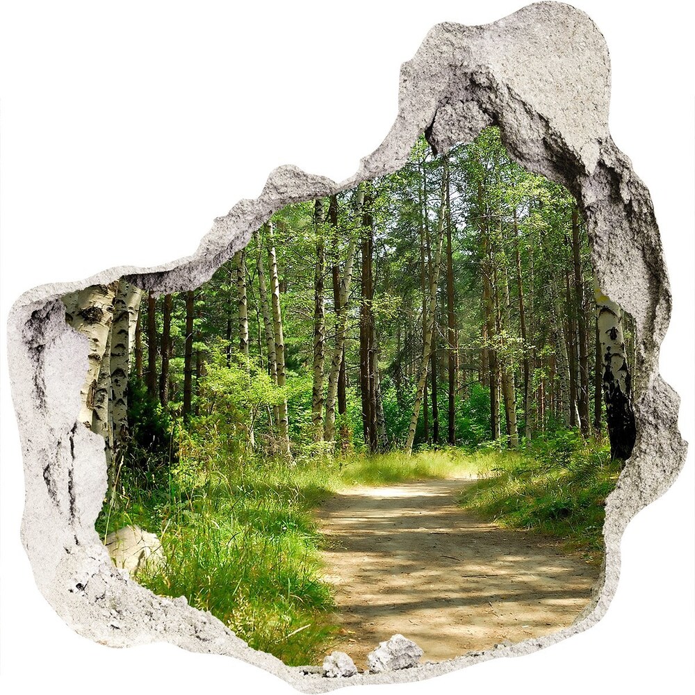 Hole in the wall decal Path in the forest