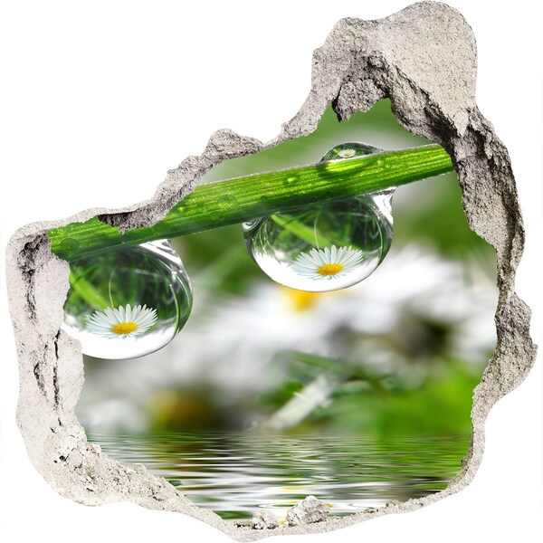 3D wall hole Floral oasis with water drops