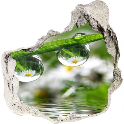 3D wall hole Floral oasis with water drops
