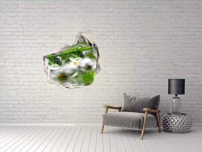 3D wall hole Floral oasis with water drops