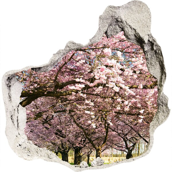 3D wall hole Blossoming cherry trees in the spring park
