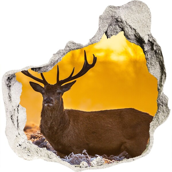 3D wall hole wallpaper Deer in golden light