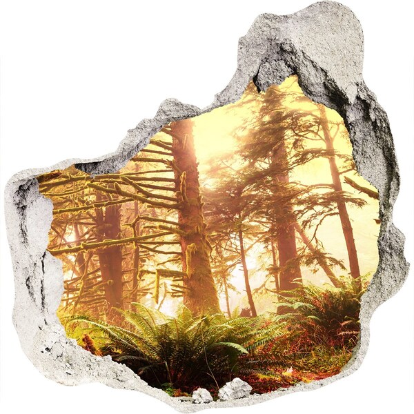 Hole in the wall decal A forest oasis in the sunshine