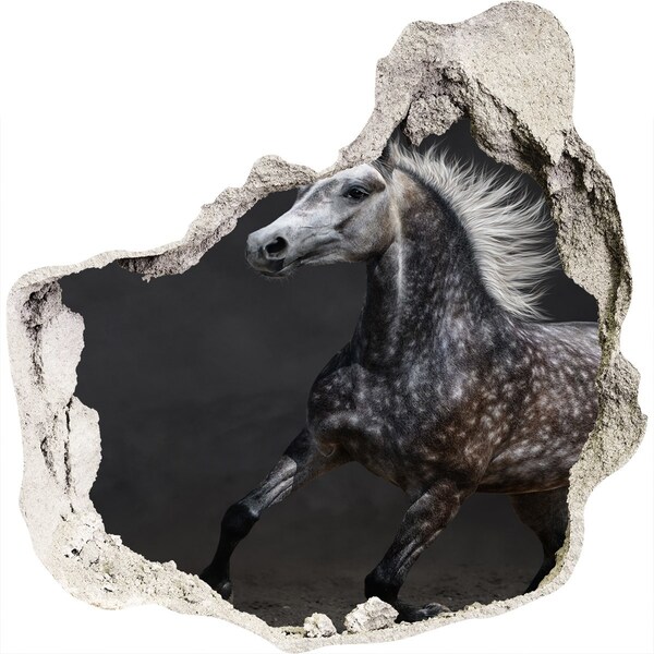 Hole in the wall sticker Gray Arabian horse