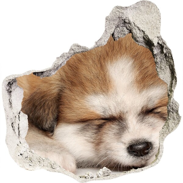 Hole in the wall sticker Cute Puppy in a Hole in the Wall