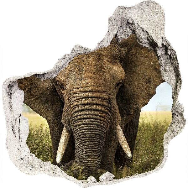 Hole wall sticker Elephant in the savanna