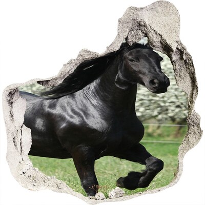 3D wall hole Black horse flowers