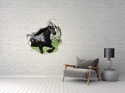 3D wall hole Black horse flowers