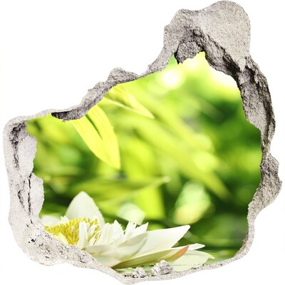 Hole wall sticker A flower in a green garden