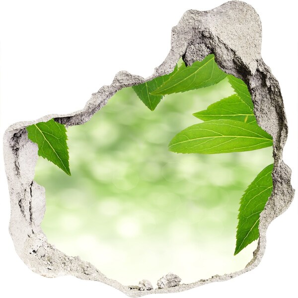 Hole wall sticker Green leaves