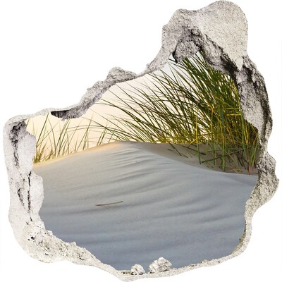 3D wall hole Coastal dunes