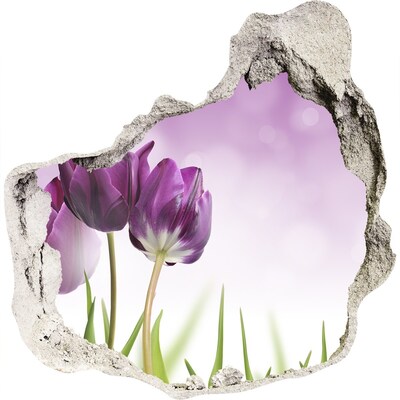 Hole wall sticker Fillet tulips