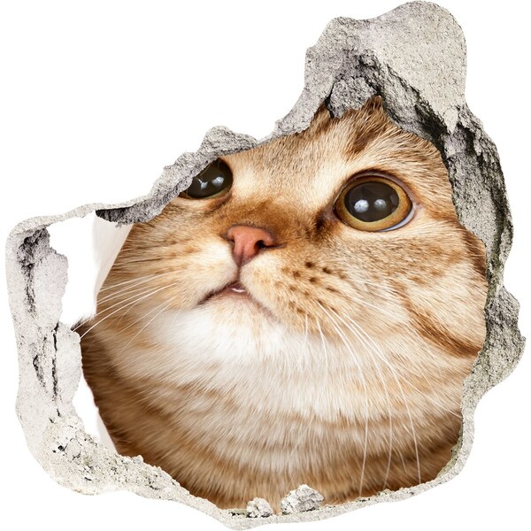 Hole in the wall sticker Cat in a hole in the wall