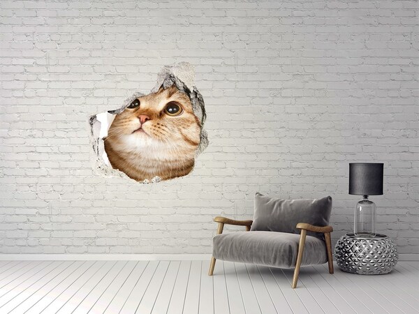 Hole in the wall sticker Cat in a hole in the wall