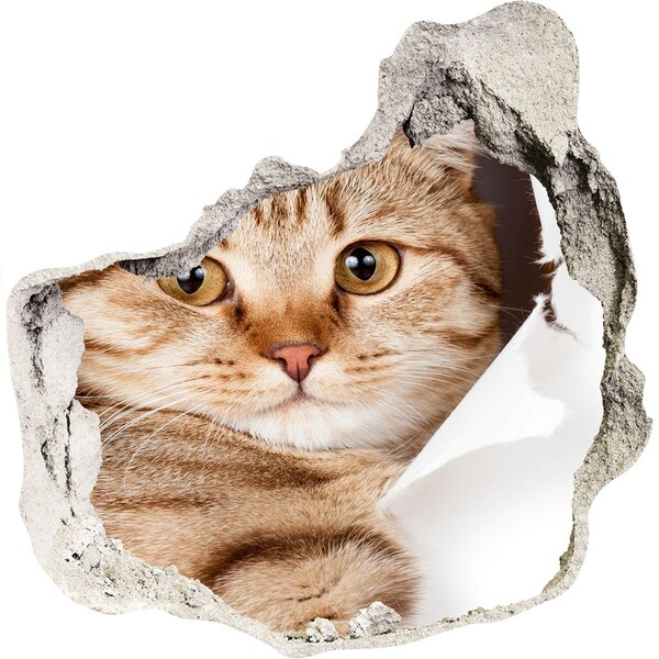 Hole in the wall sticker Cat in a hole in the wall