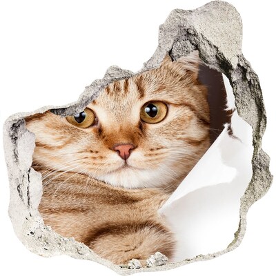 Hole in the wall sticker Cat in a hole in the wall