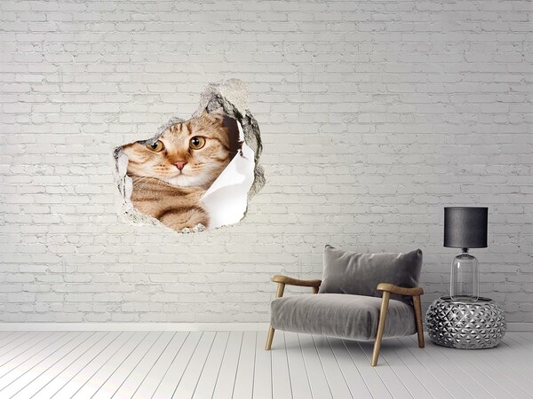 Hole in the wall sticker Cat